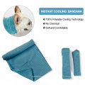 Bandana Bandana Summer Triangle Scarf Puppy Refresping en la cabeza